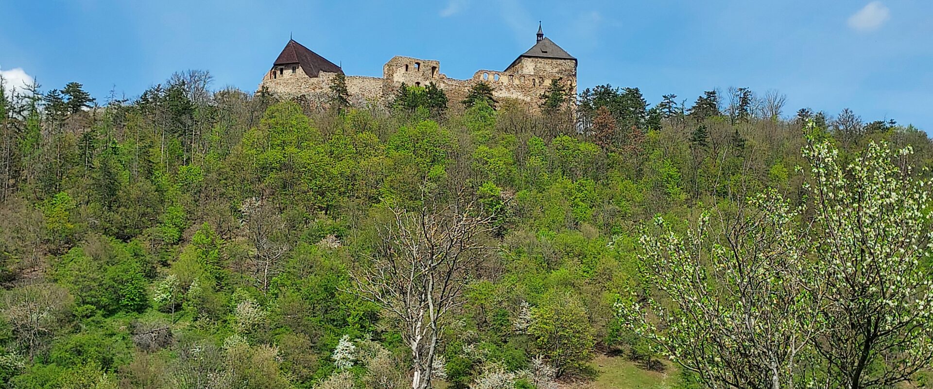 Točník a Žebrák